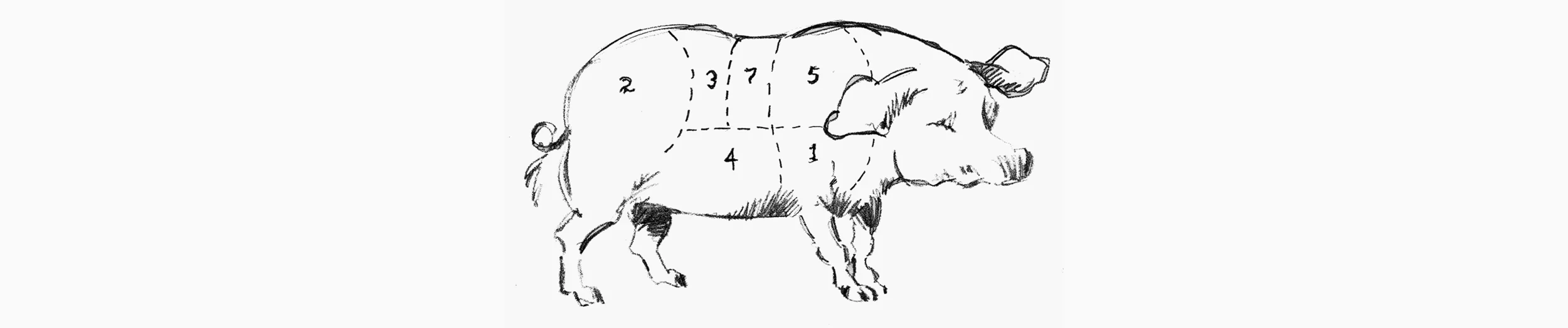 pig1.jpg