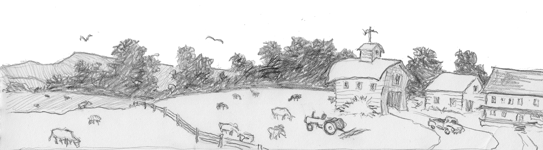 Farm.jpg