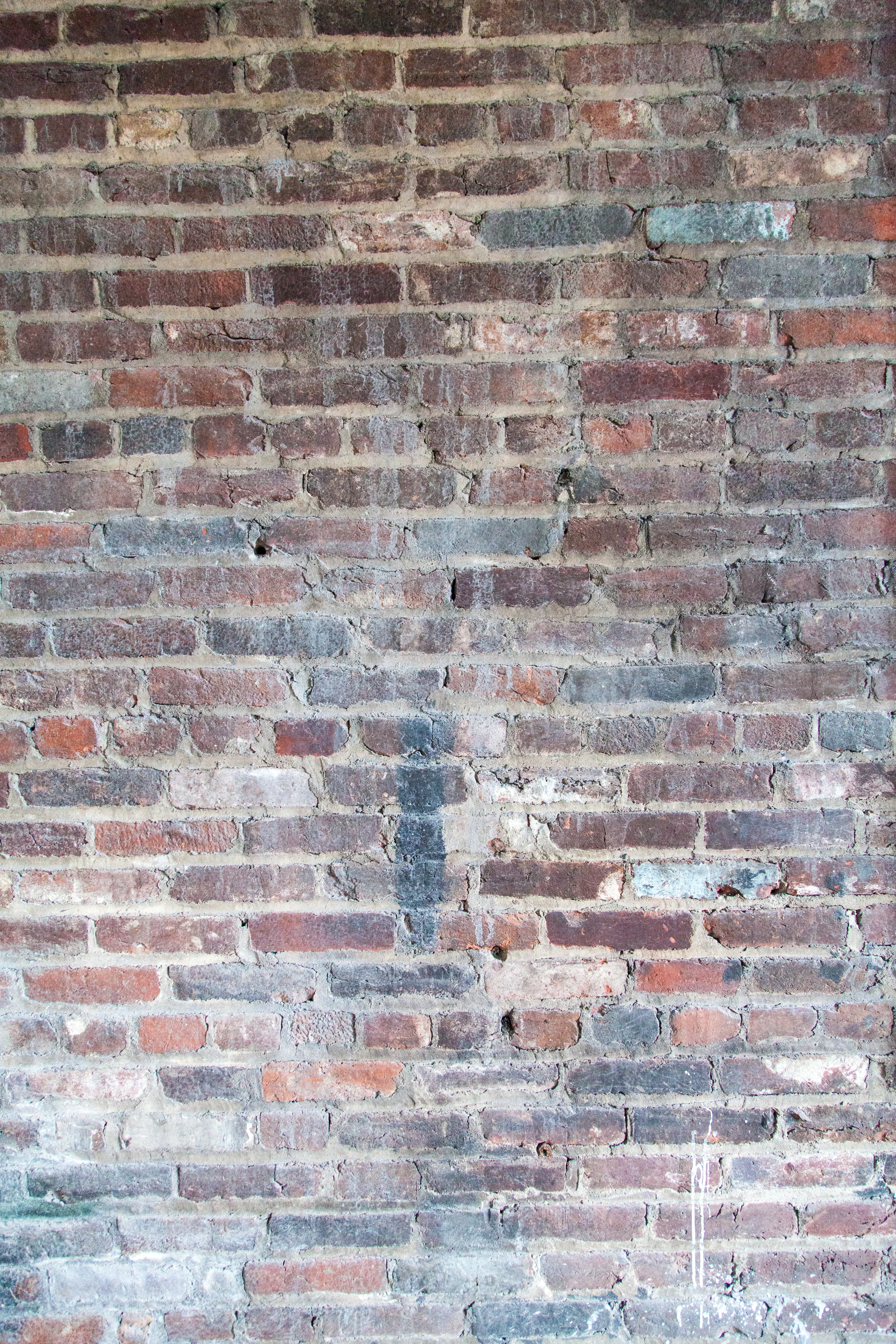 IMG_1527.jpg