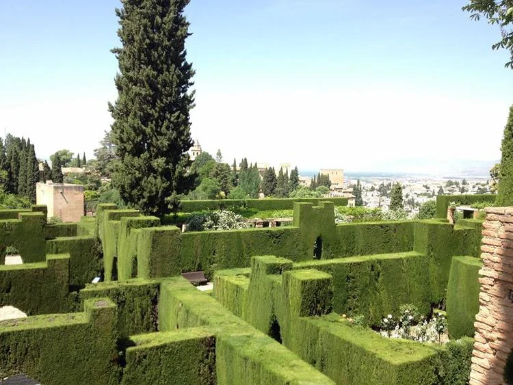 Current Marist Tertiary Status