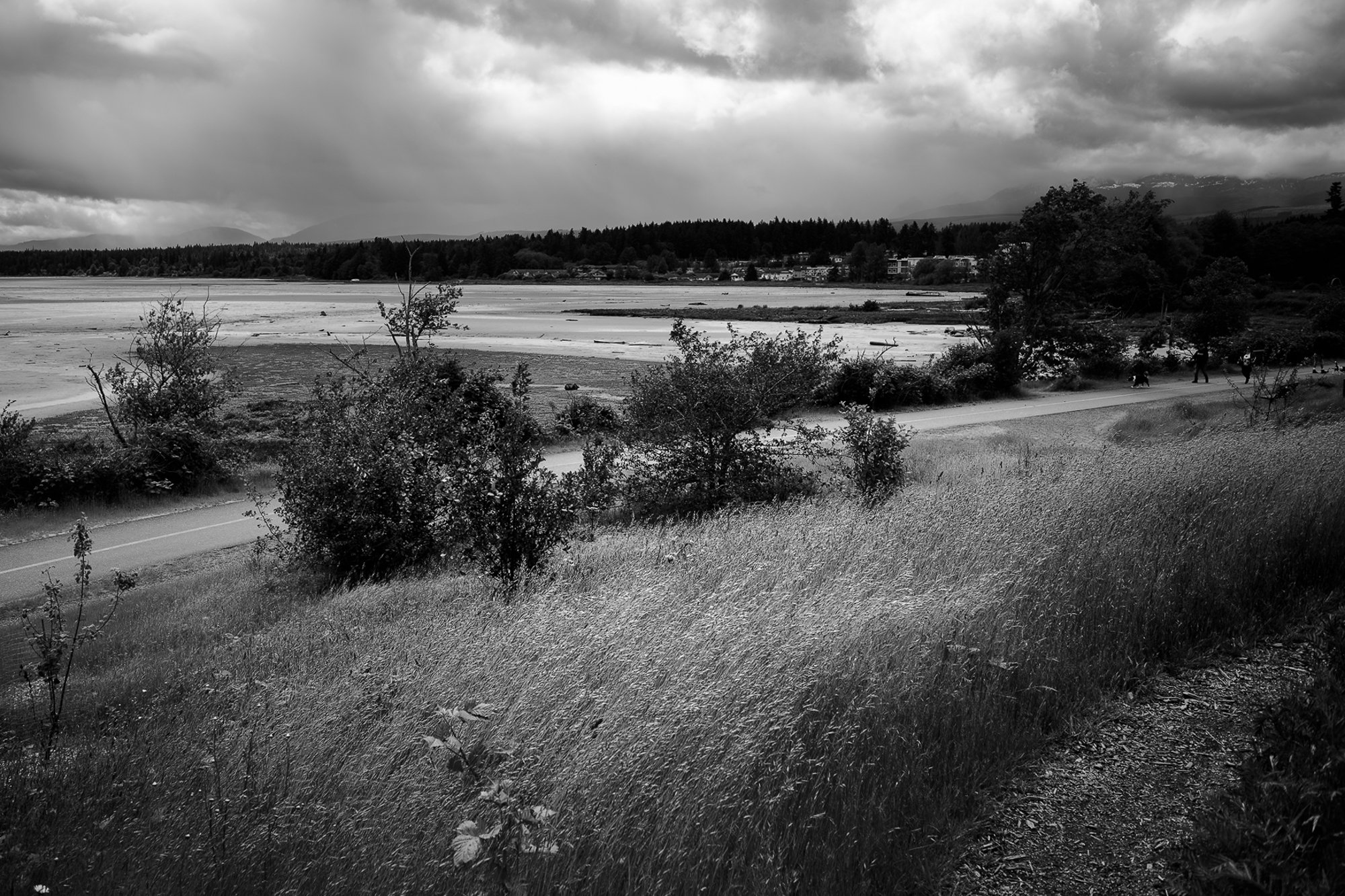 Air Park-20220611-Air Park-Edit010-2699.jpg