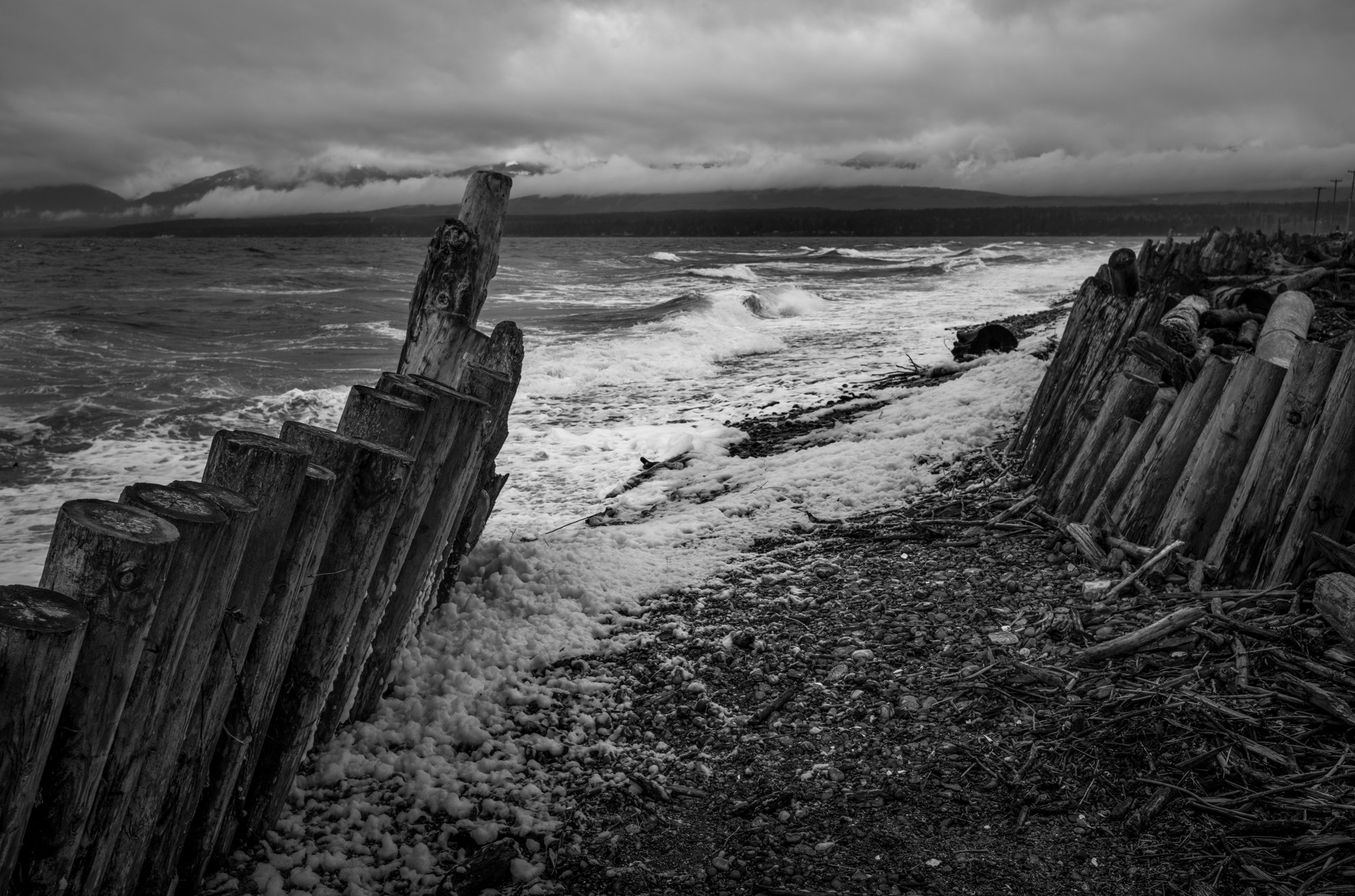 Goose Spit-L1002045.jpg