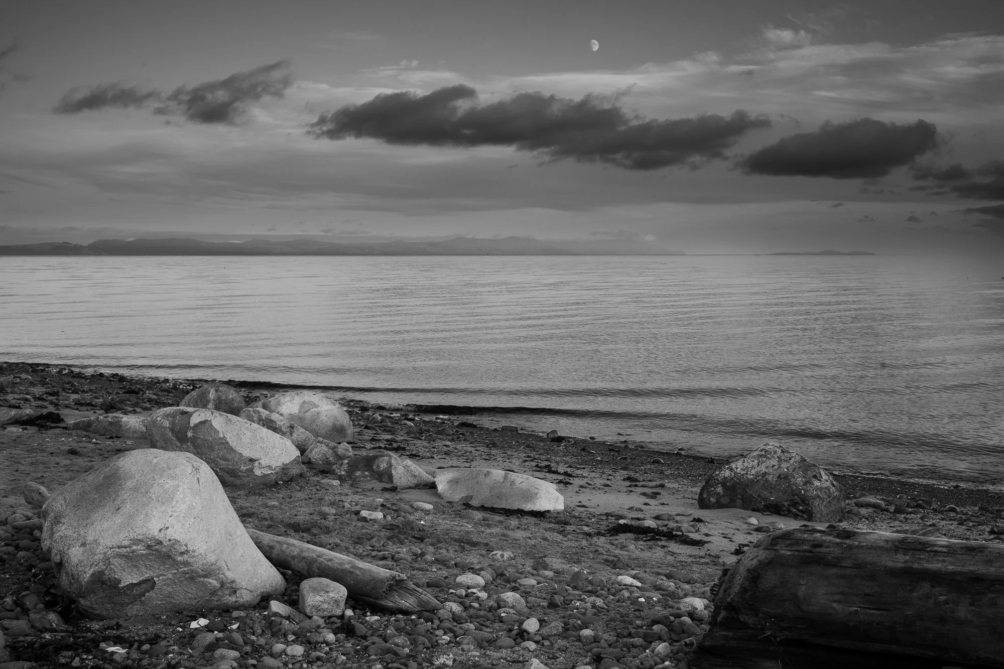 Bryan Treen-Goose-1.jpg