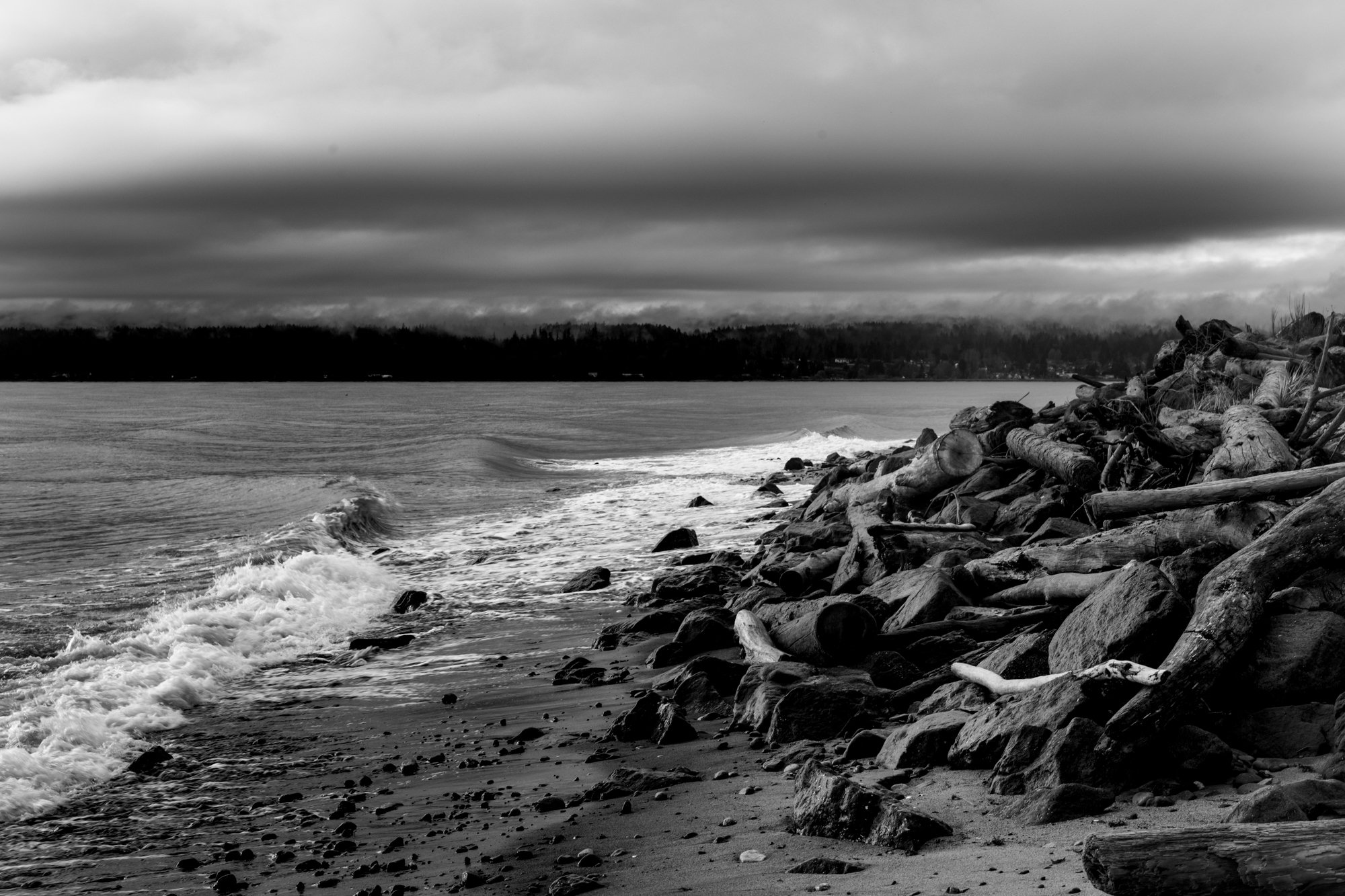 20231201-L1003419-Edit.jpg