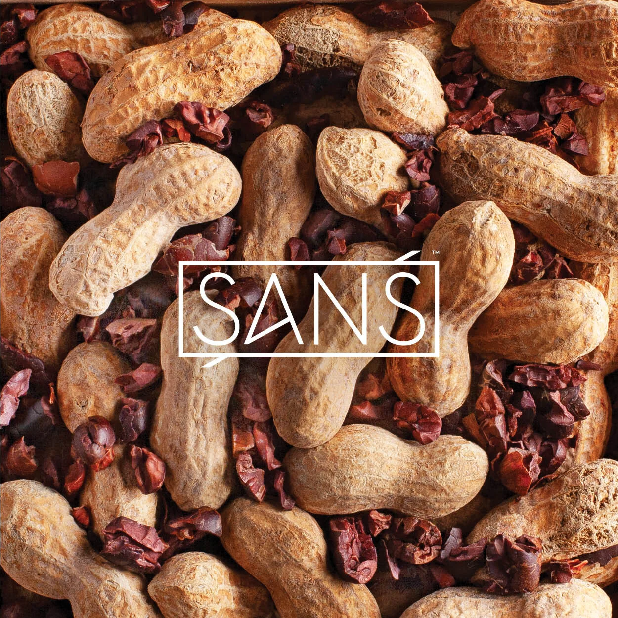 Sans Thumbnail - 600x600.jpg