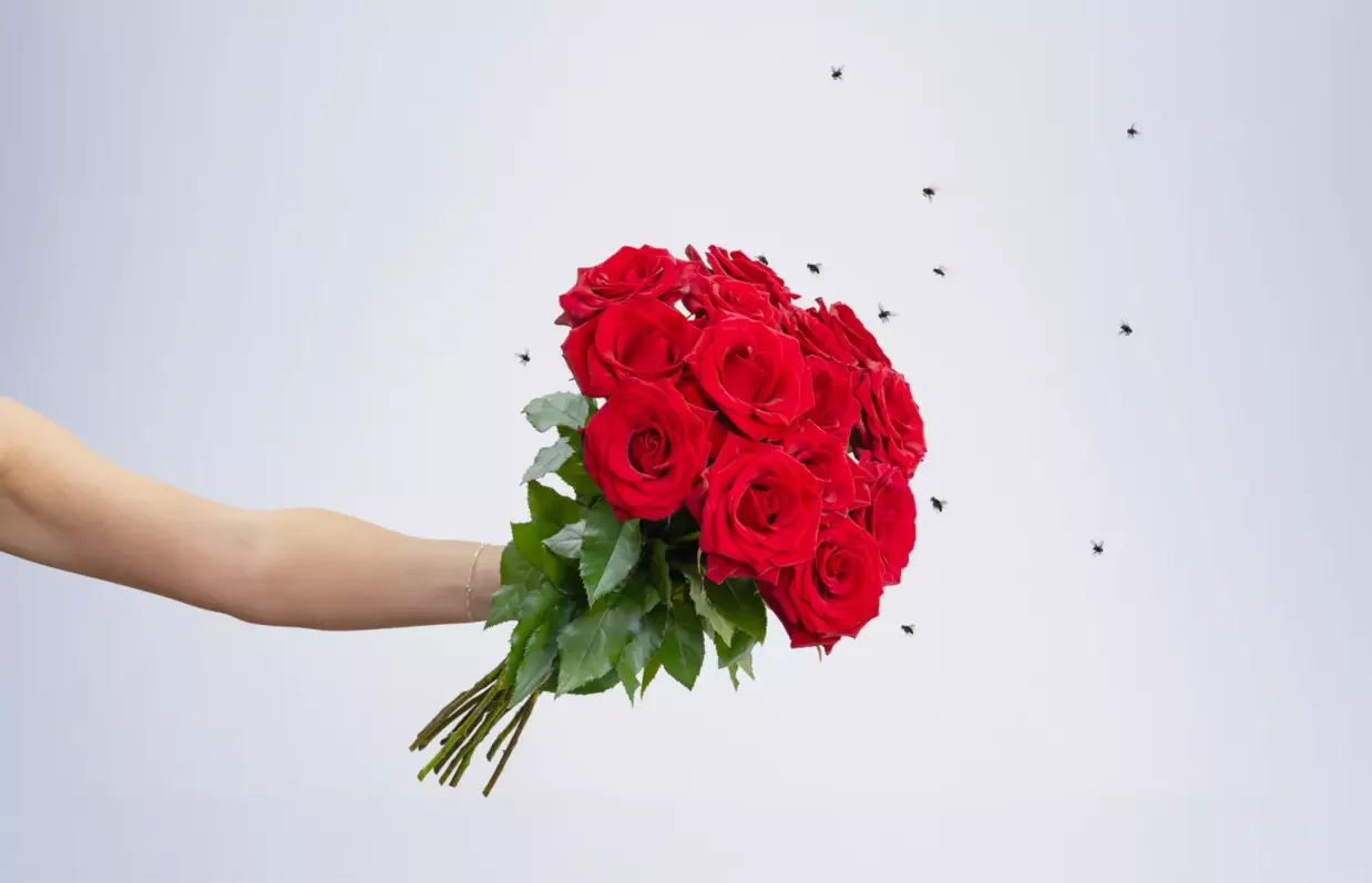 love-stinks-rose-bouquet-flies.webp