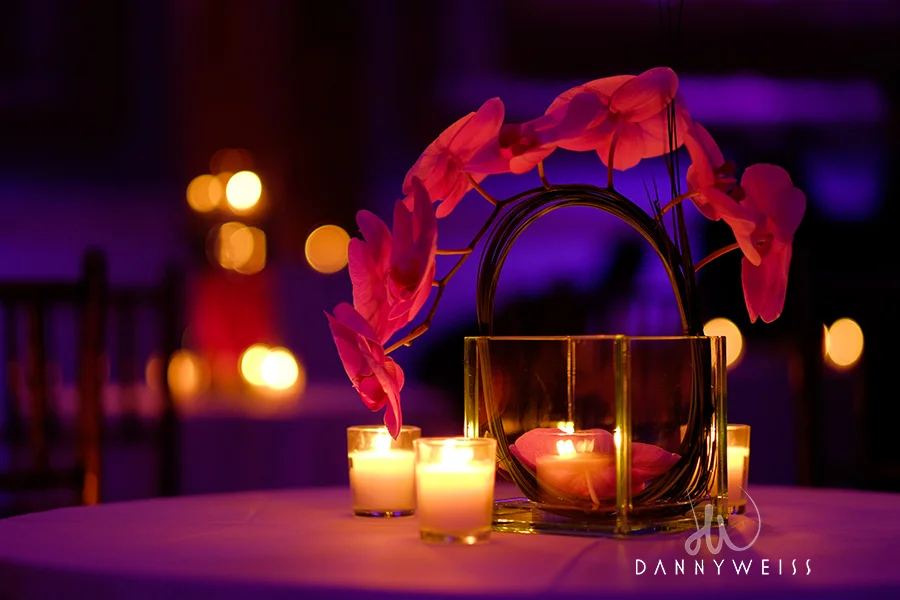  Photo by&nbsp; dannyweissphoto.com  