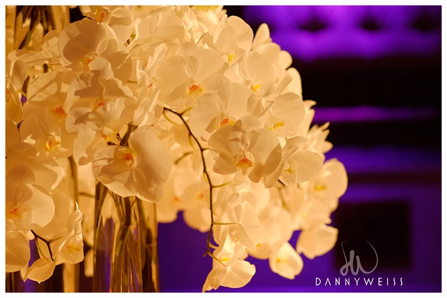  Photo by&nbsp; dannyweissphoto.com  