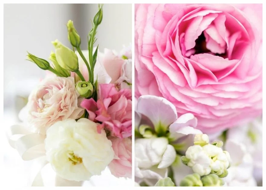  Photo by  Karline Kim  