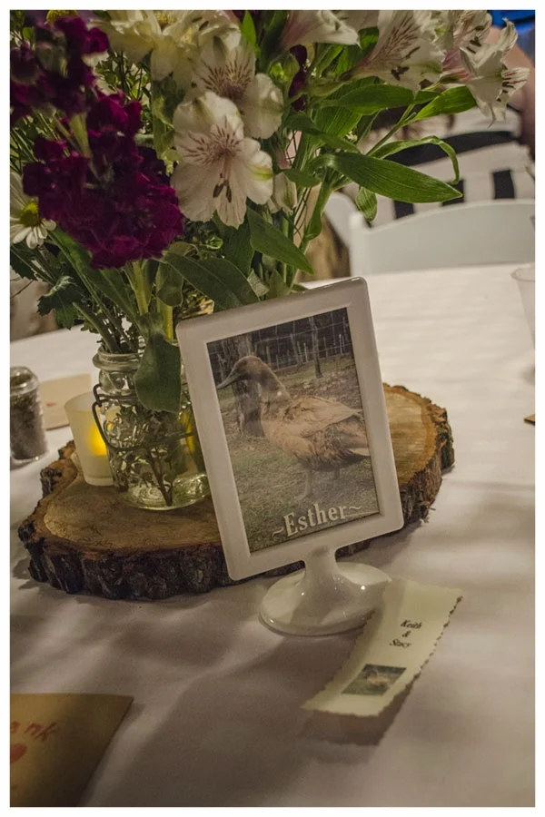  Photo by&nbsp; Molly Stromoski Photography&nbsp;  