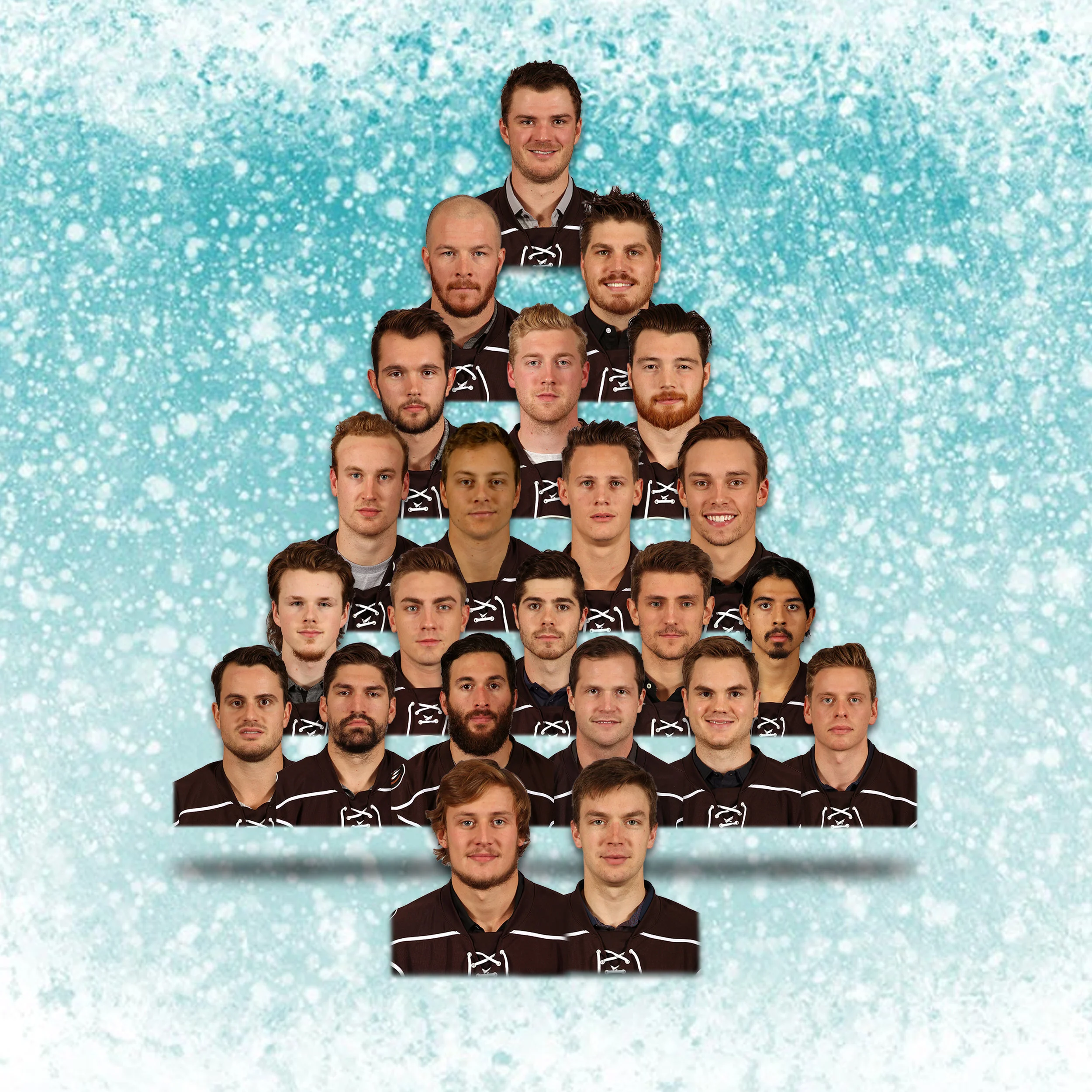 bears tree.jpg