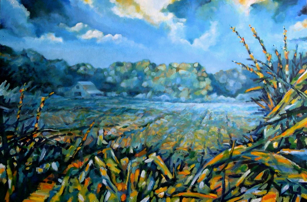 SteGen landscape.JPG