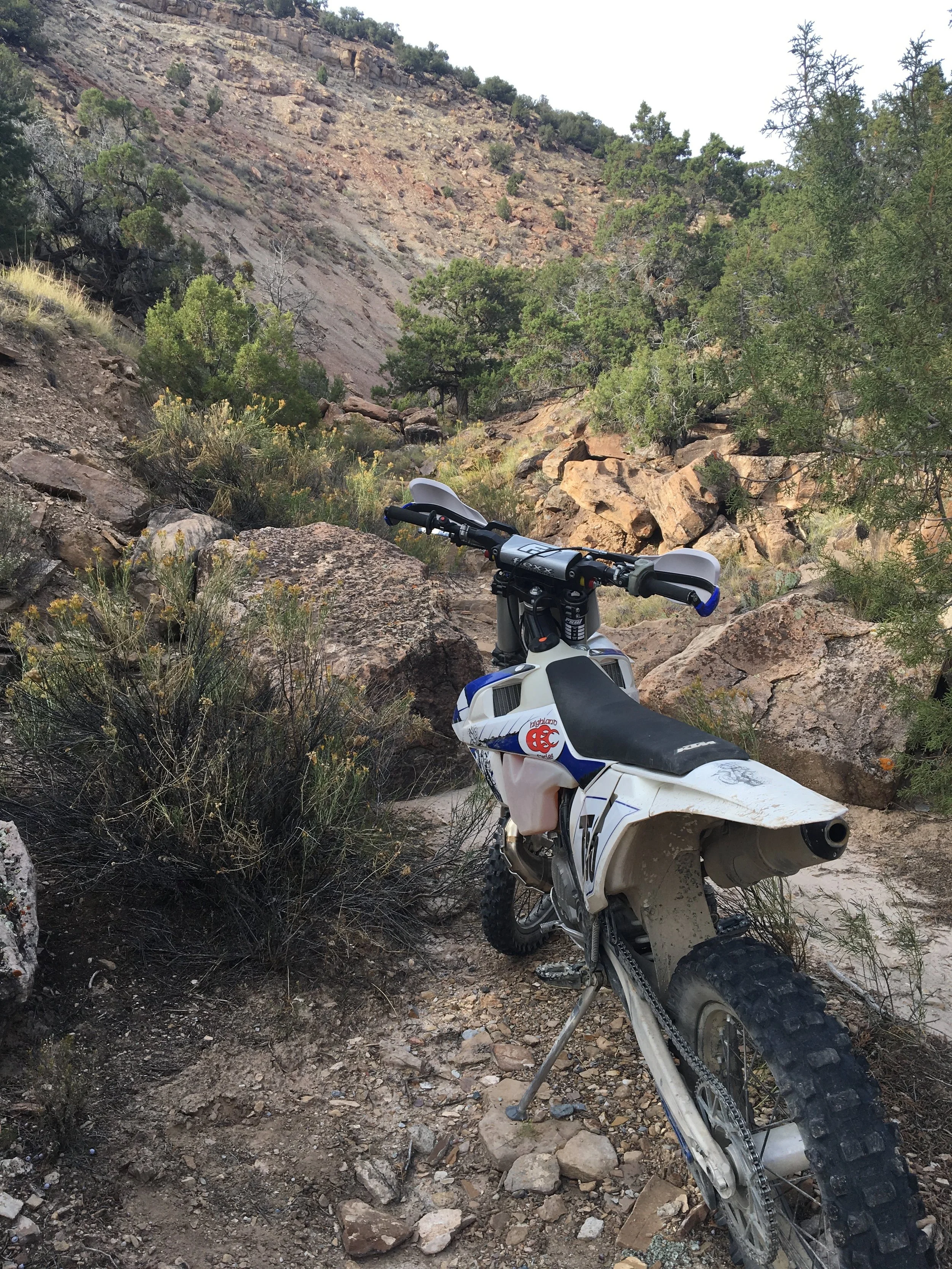 Thursday night rides!