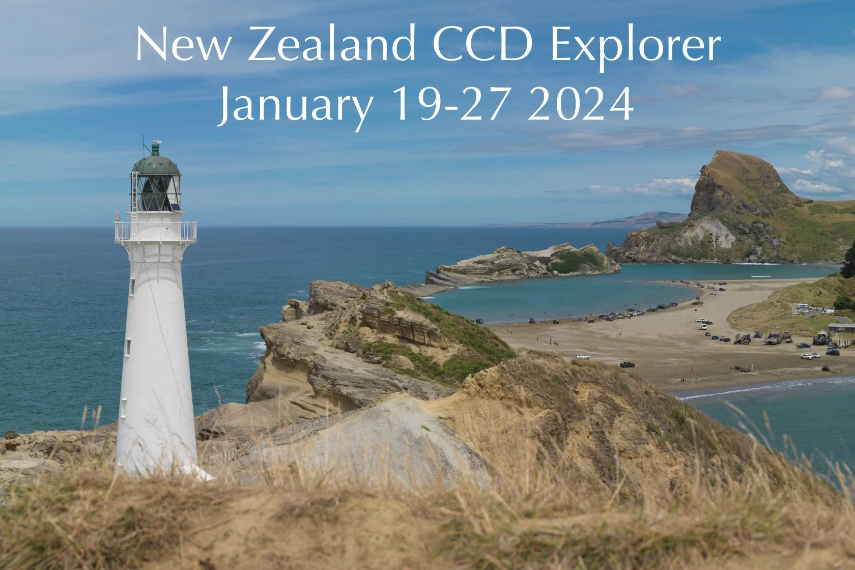 New Zealand CCD Explorer