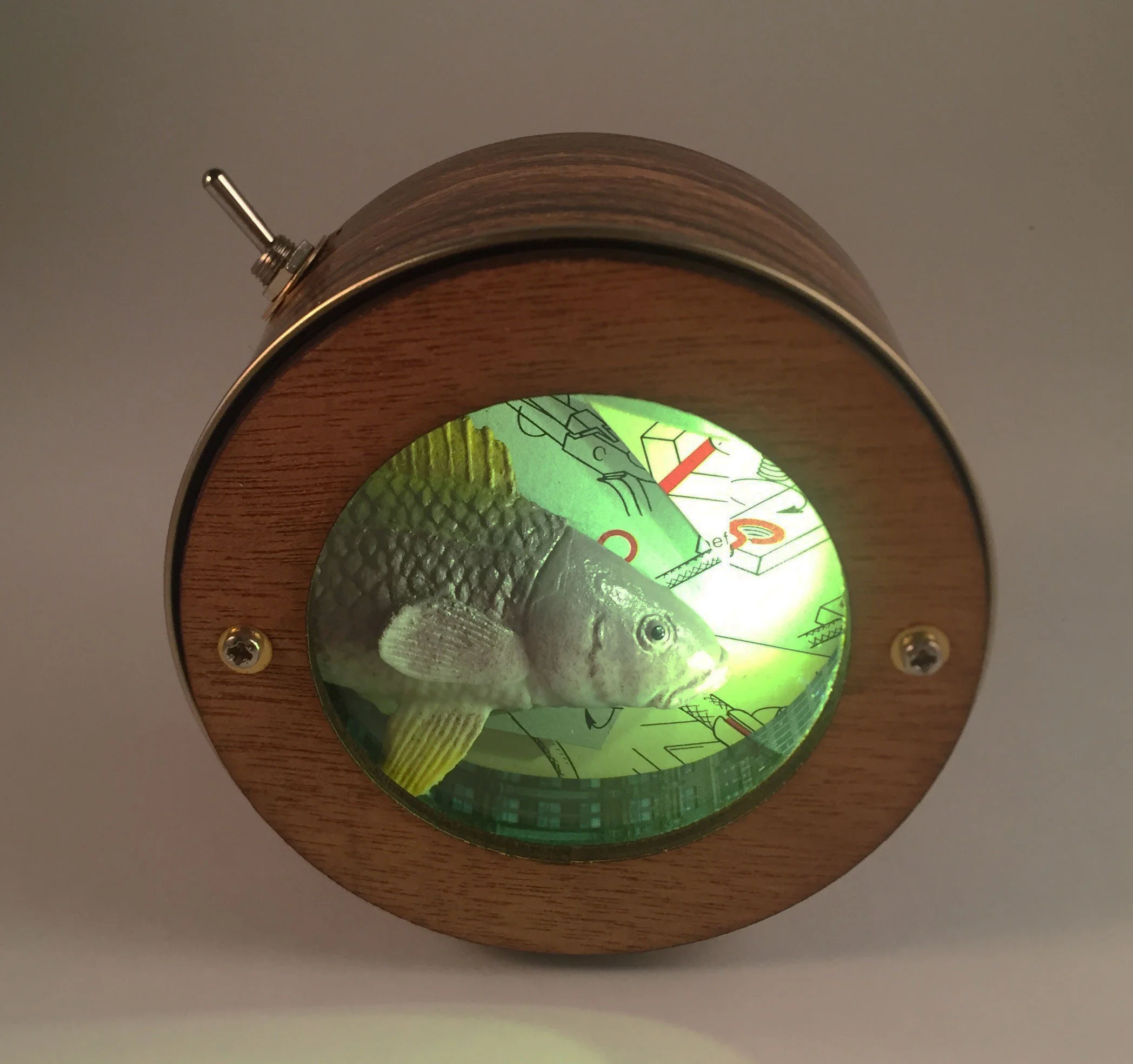 front view top fish.jpg