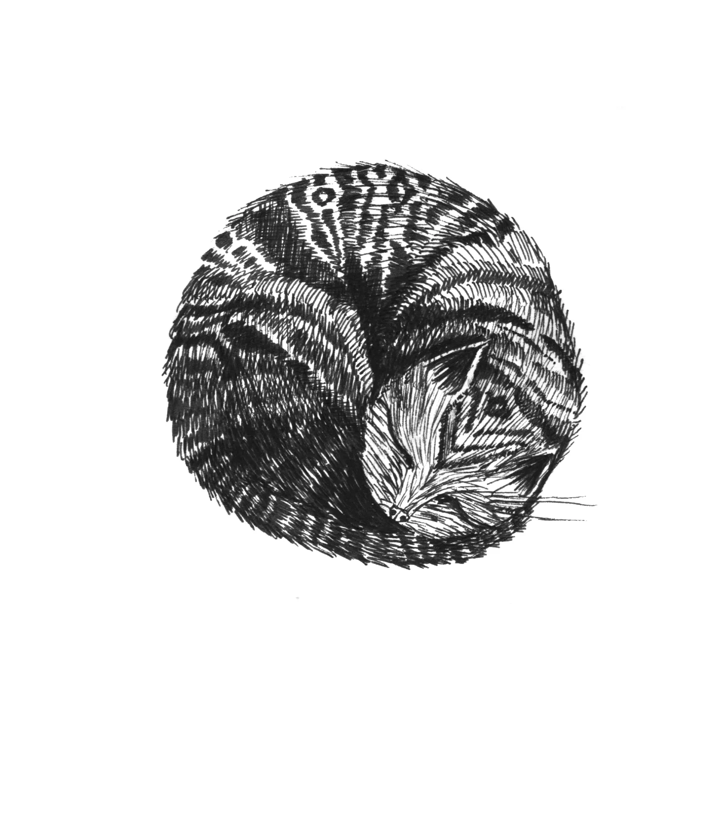 cat, 10 x 10 cm, 2016