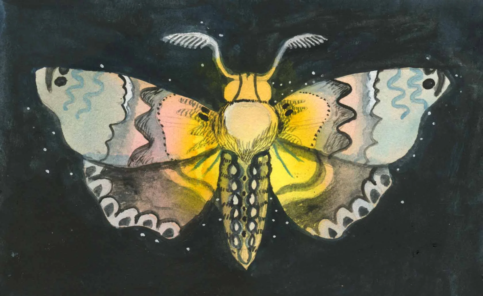 Moth