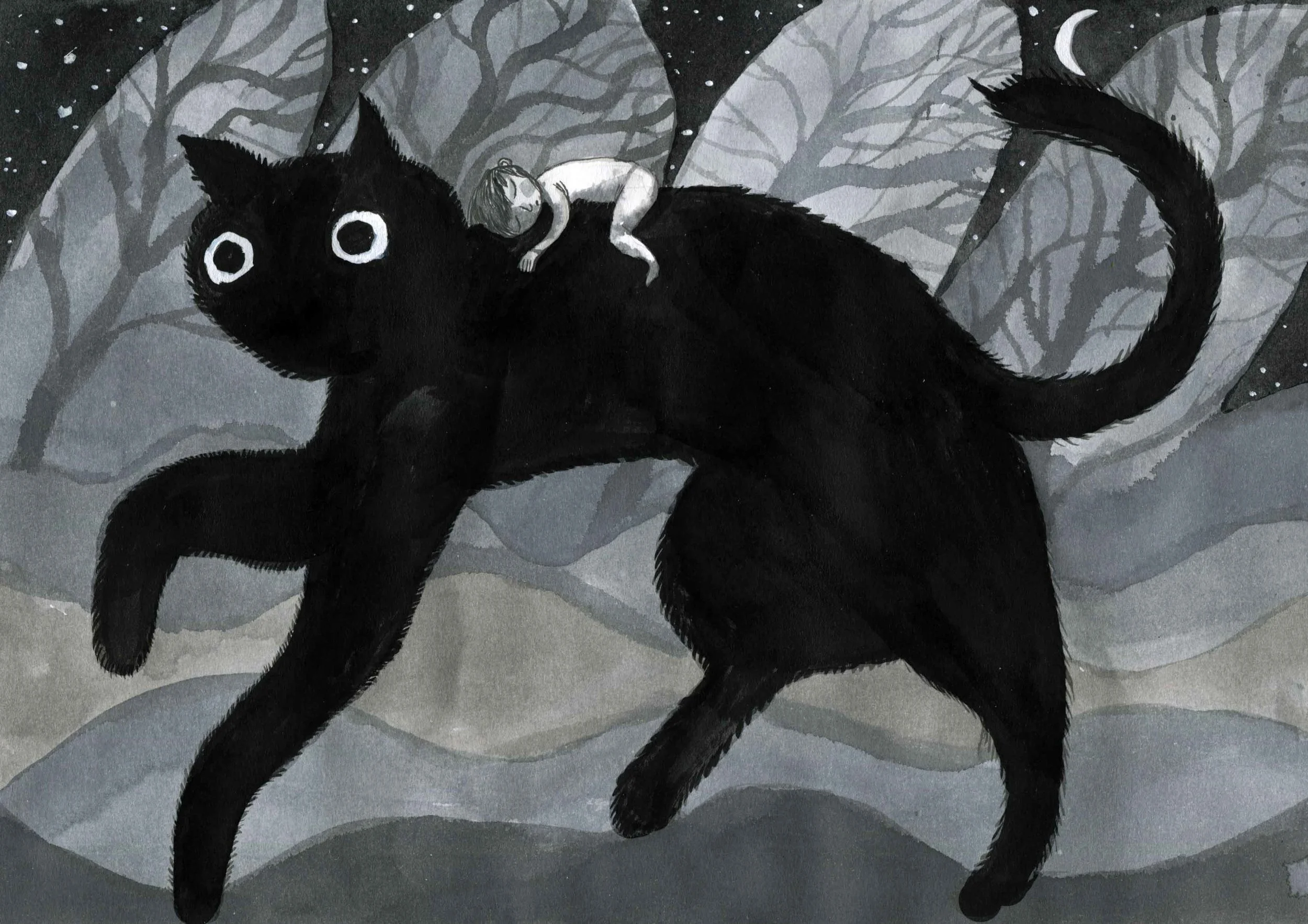 Night Cat