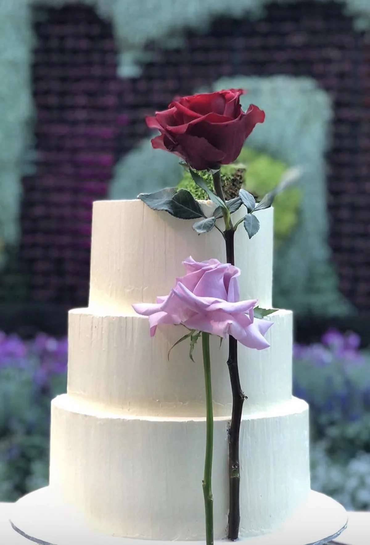 PETALMETSUGAR-CAKE01.jpg
