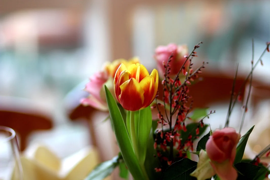 Frühlingsblumen auf Tisch.jpeg