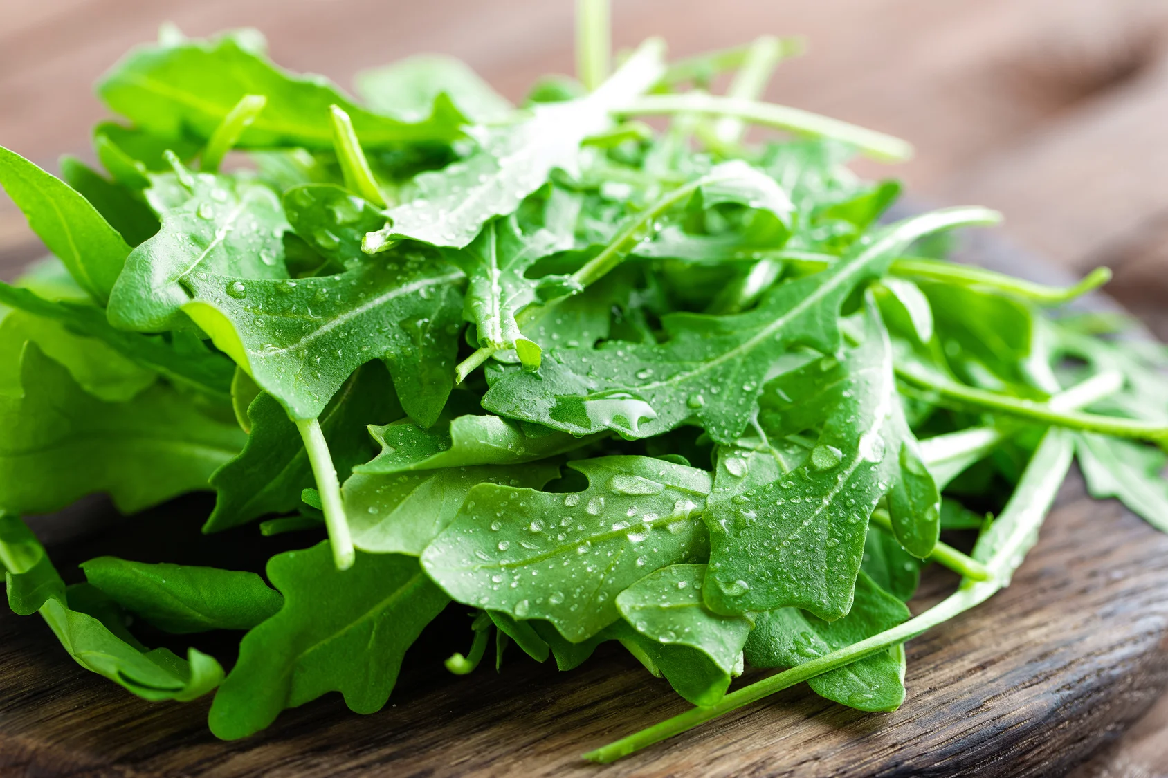 Rucola-Salat.jpg