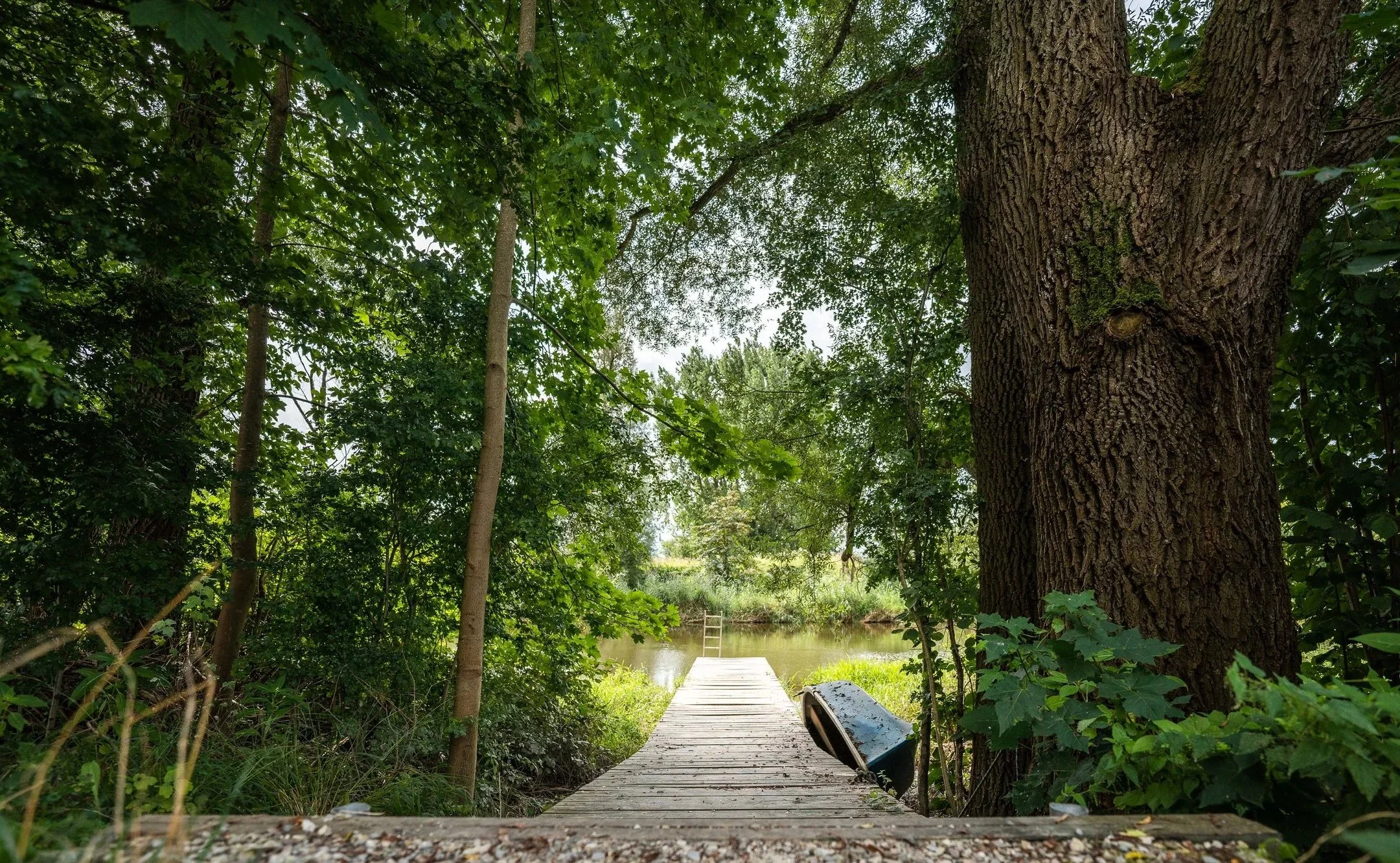 Ein Holzsteg führt zu einem Wasserweg, umgeben von üppigem Grün und großen Bäumen, bei schönem Wetter.