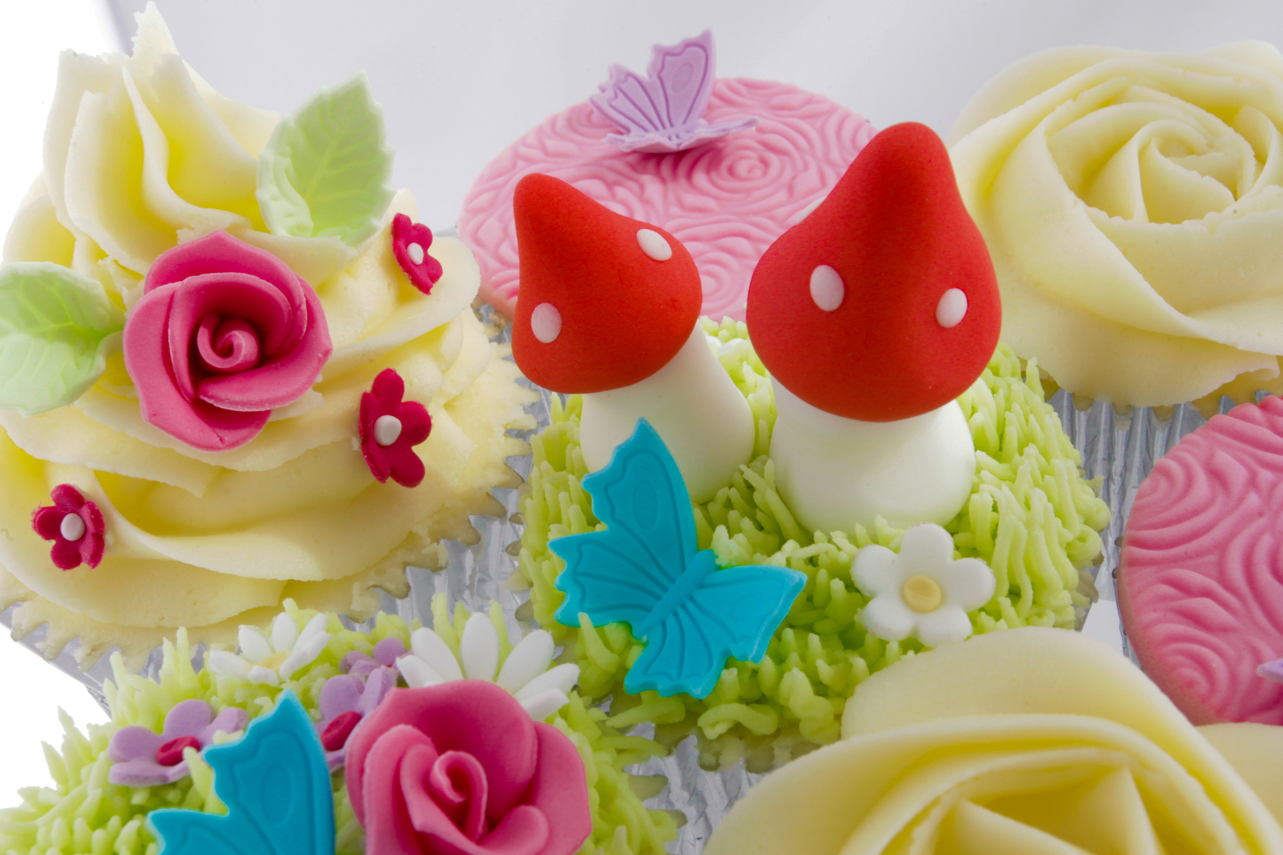 You will model cute little toadstools and pipe butter cream grass.