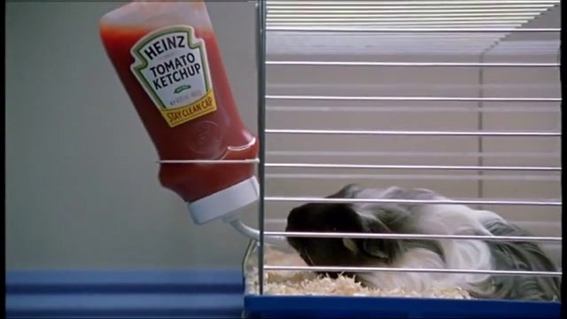 Heinz Ketchup