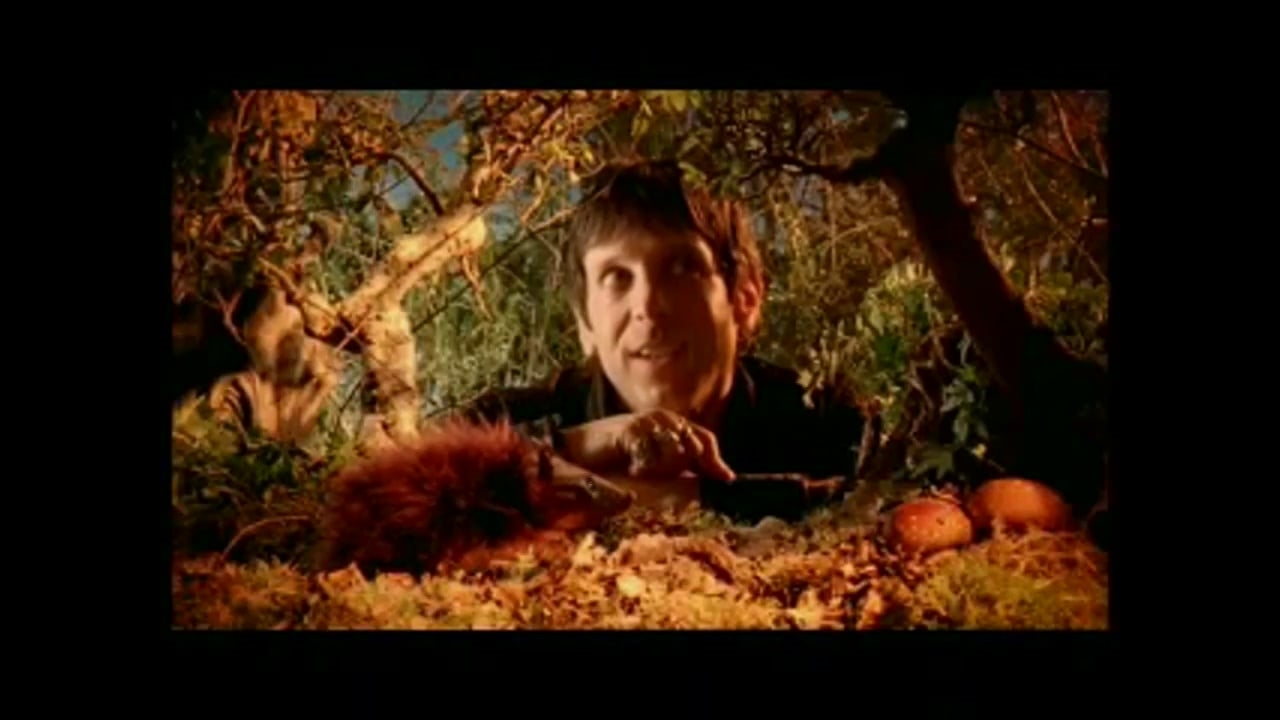 mercury rev in a funny way cutdown