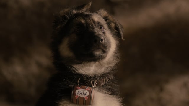 Kronenbourg