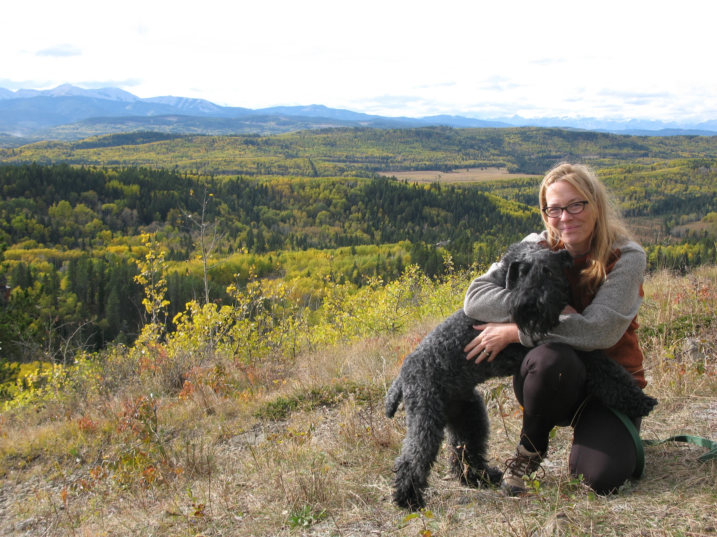The view from the top of our hill, with Paddington.JPG