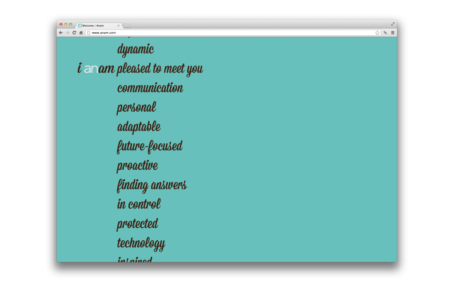 Anam-Portfolio-Images-11.png