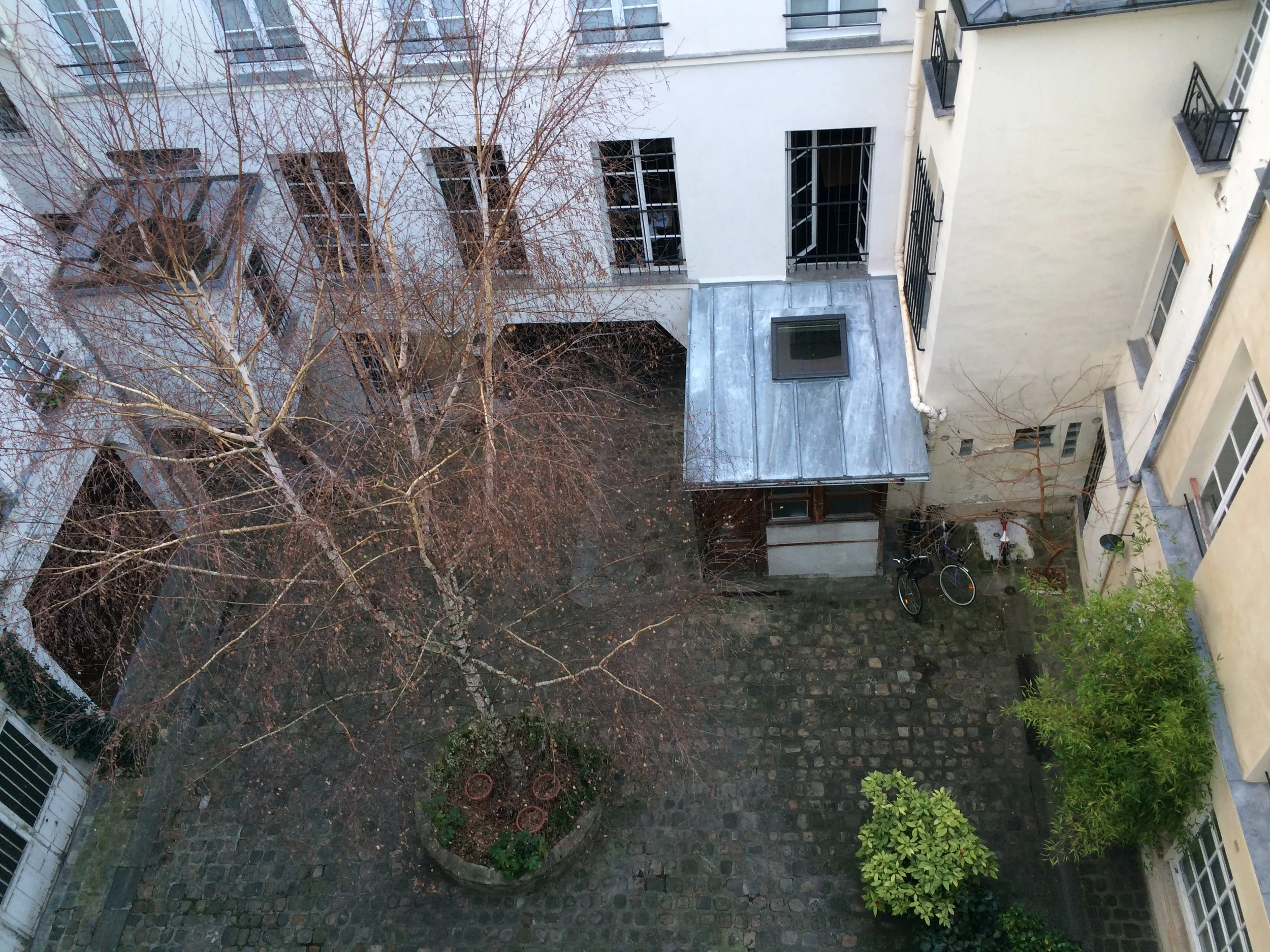 Anti Wrinkle Drugs - A History