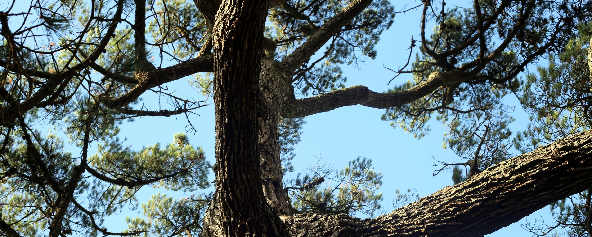 Is there More Than One Type of Anti Wrinkle Injection?