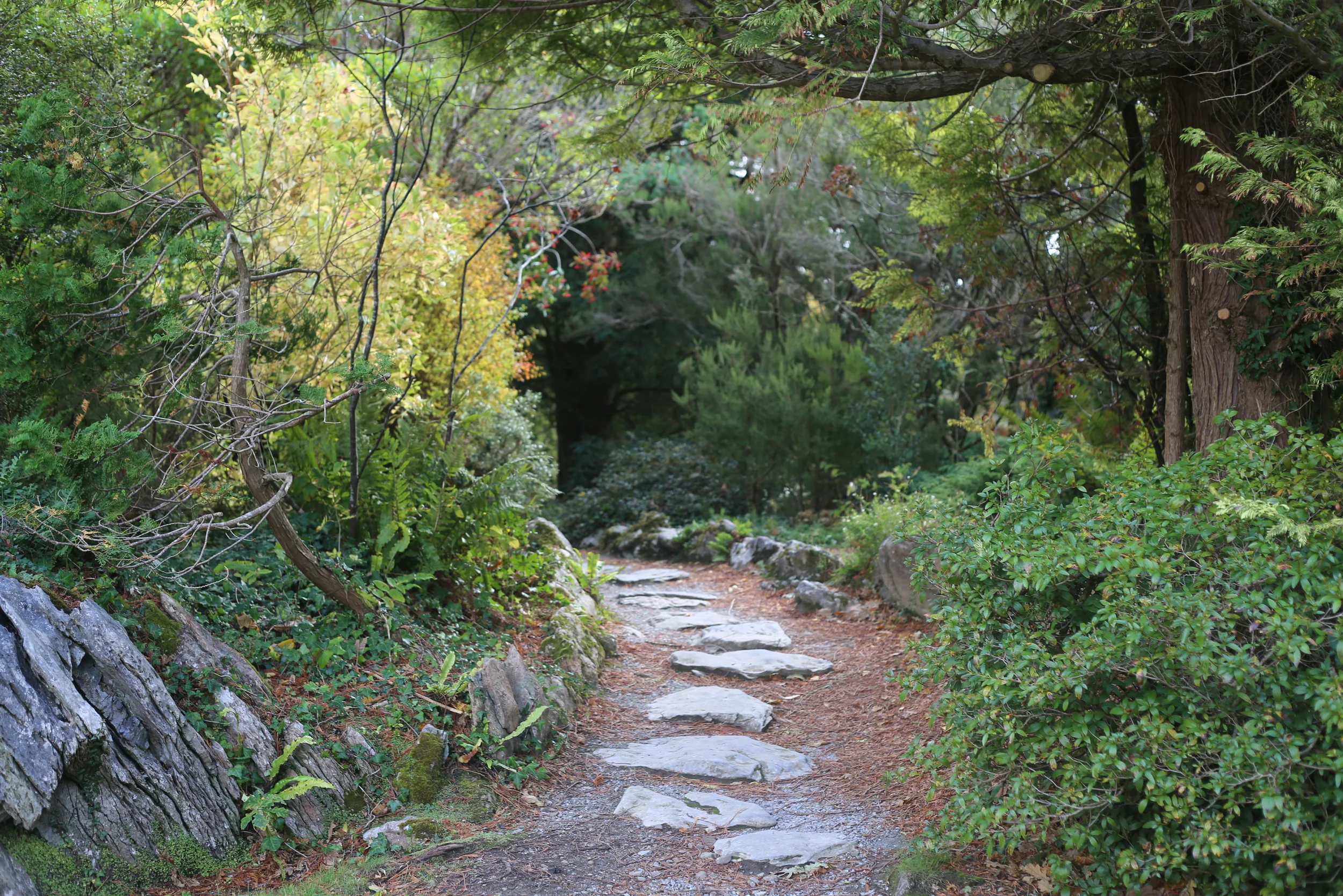 When is the Right Age to Start Anti Wrinkle Injections?