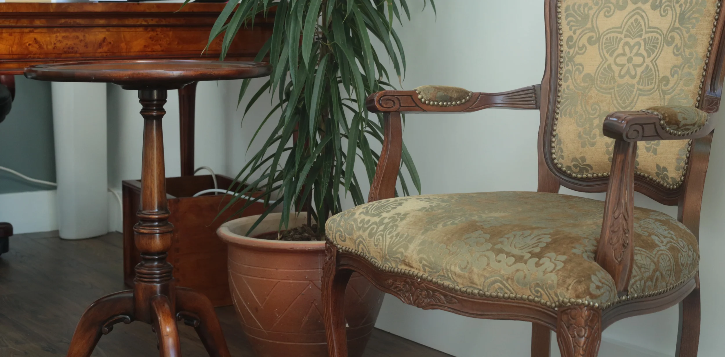 chair and plant 2.jpg