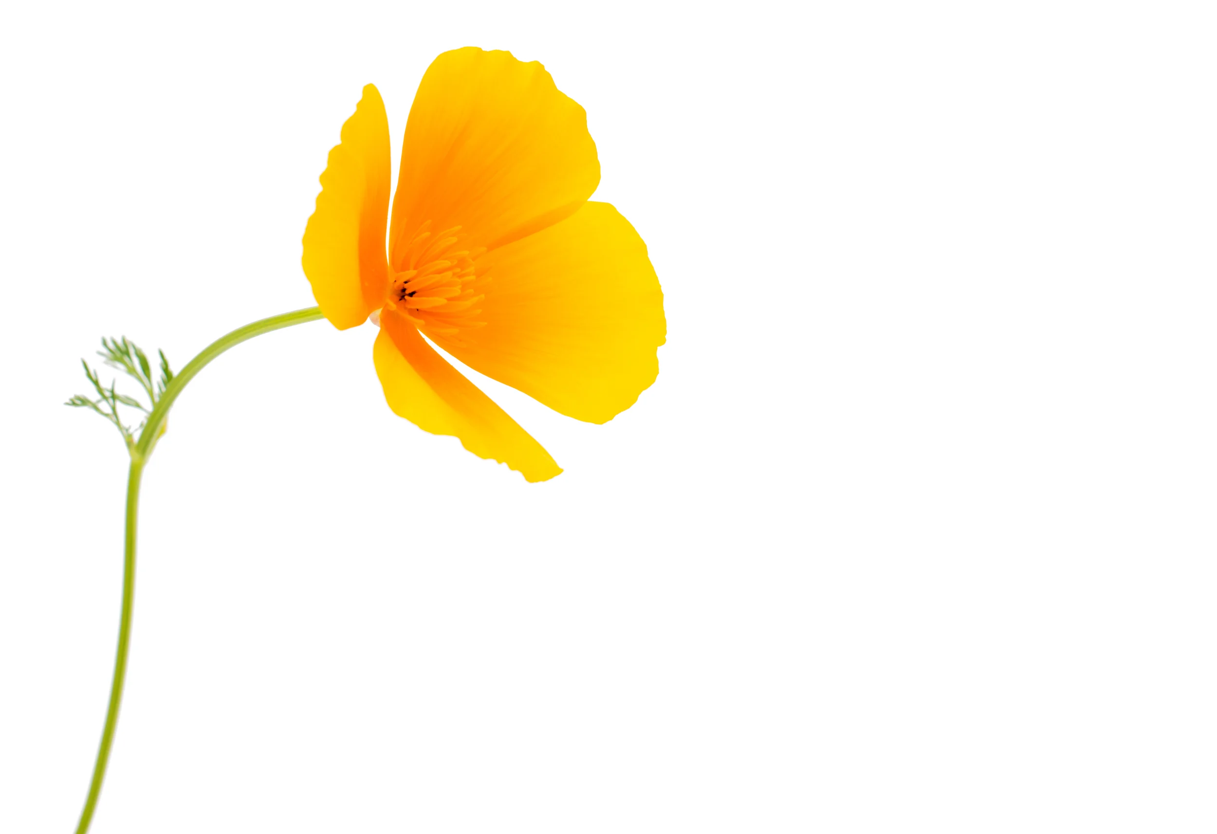 The New Clinic is Now Open!