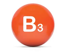 B3.jpg