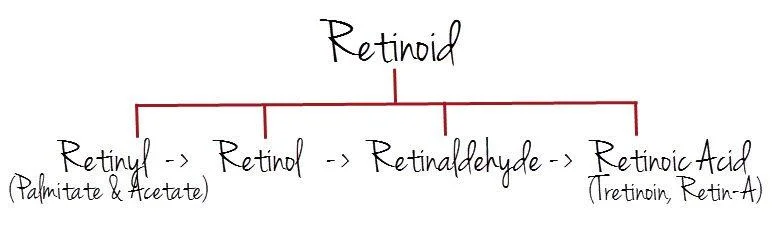 retinoid.jpg