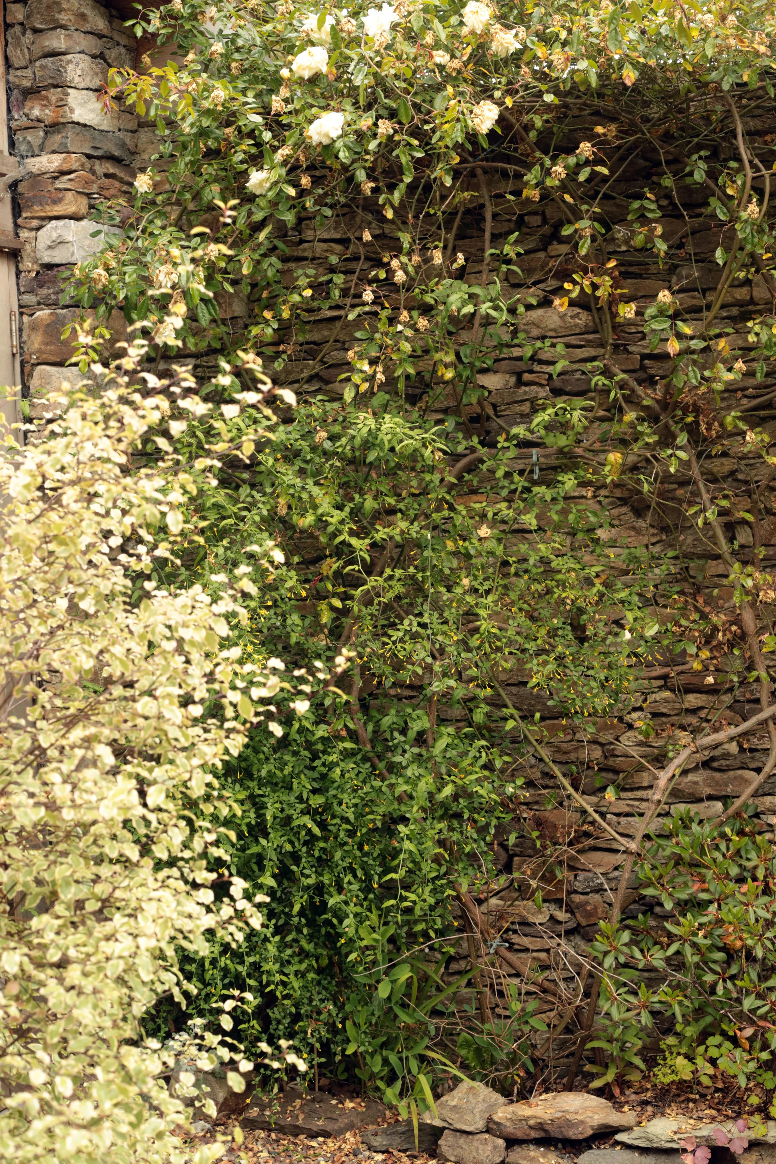 stone walls.jpg
