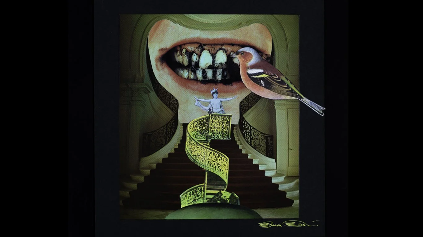 HEALSGEBEDDA BUDGERIGAR TP.jpg