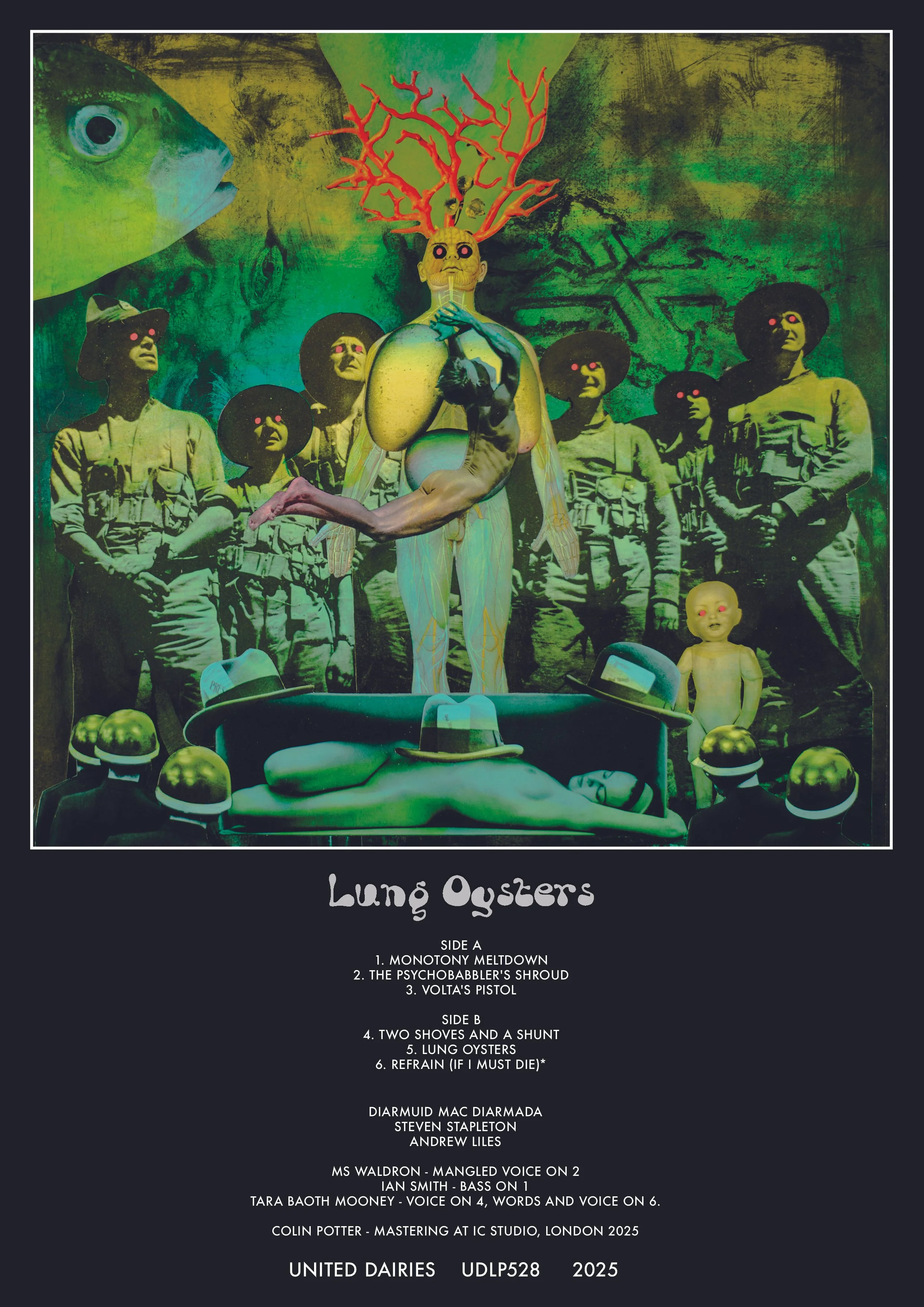 LUNG OYSTERS INSERT FRONT web promo.jpg