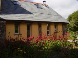 Barn exterior in Summer.jpg