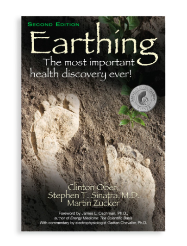 Earthing Book