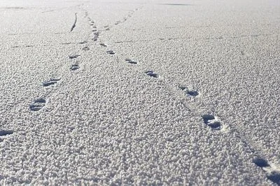  A CHANCE MEETING... CHANGED A LIFE