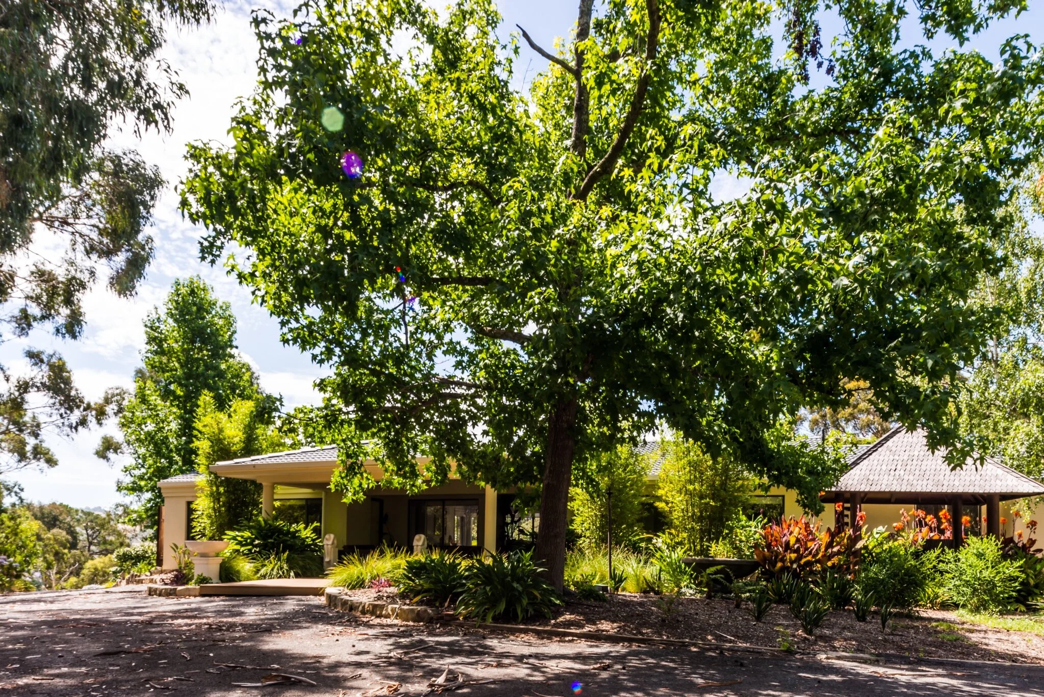 Ayurveda Village Adelaide.jpg