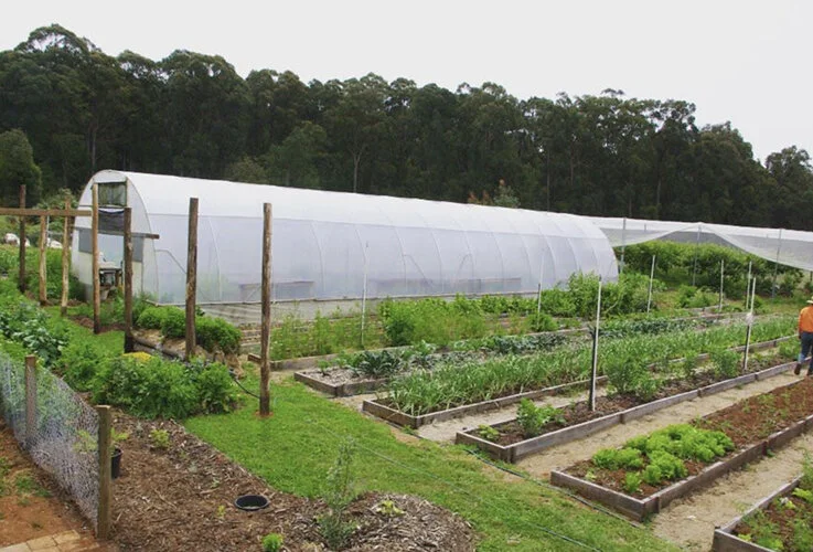 Abide Wellness Retreat vic.jpg