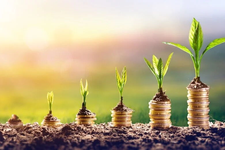shutterstock_1007133835+money+growing+plant.jpg