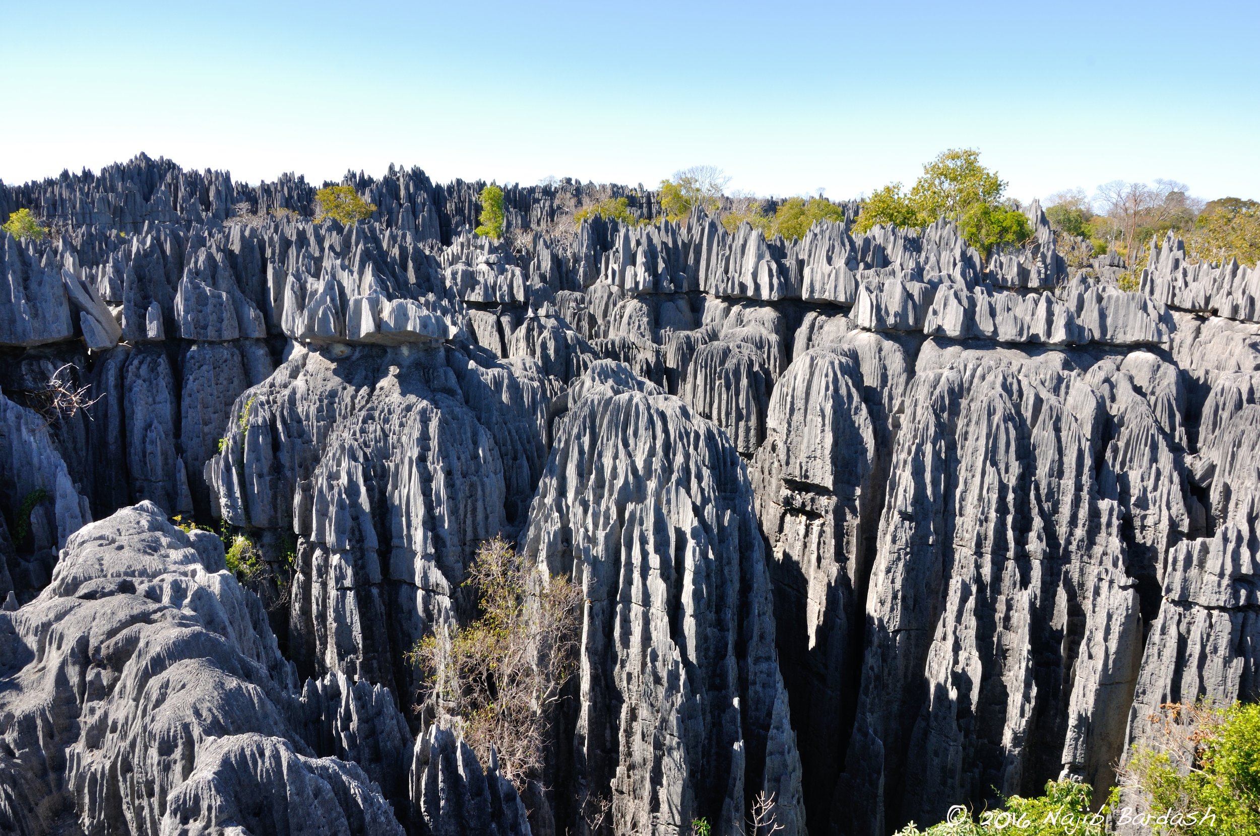 DSC_1152.jpg