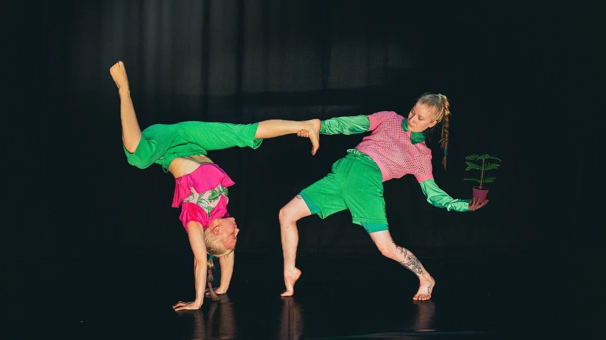 Siskot ja Kuusi in Varkaus